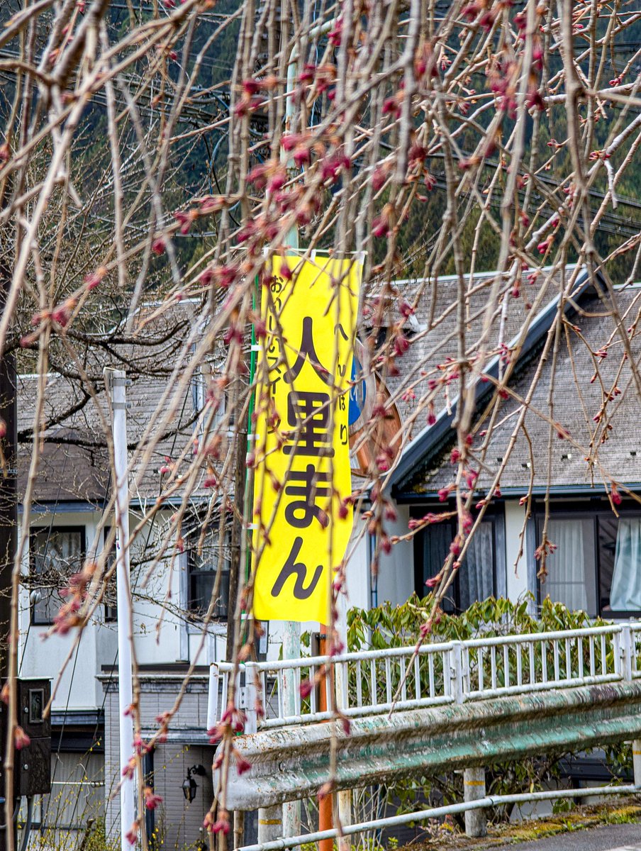 あっさらしい～！ tweet media