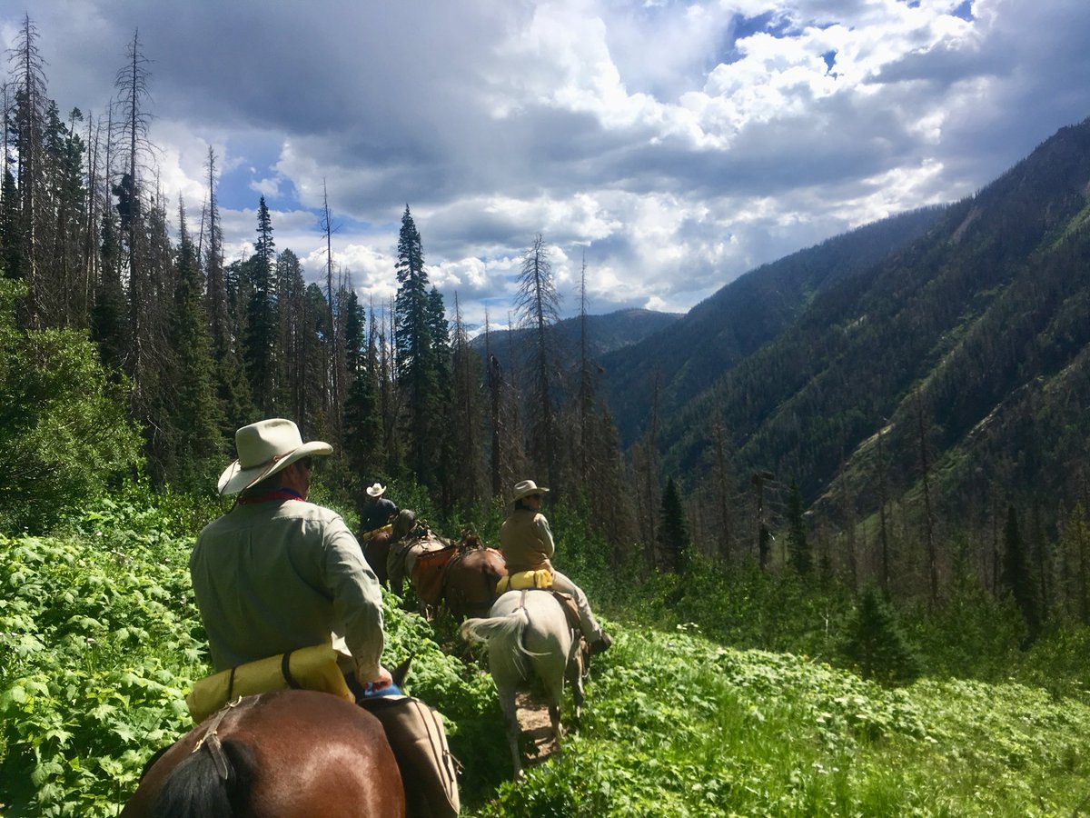 Lee Woody tweet media