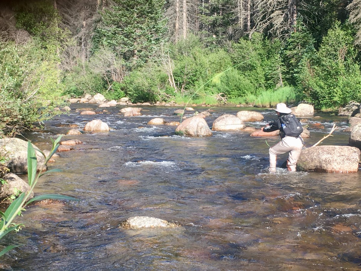 Lee Woody tweet media