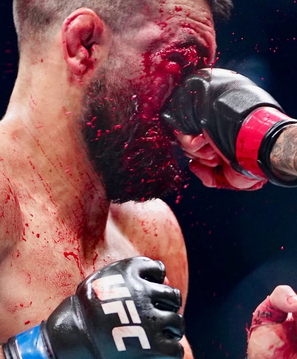 Home of Fight tweet media