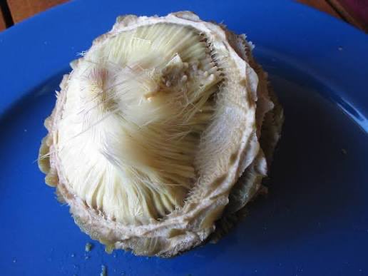 🇩🇿🇱🇧 tweet media