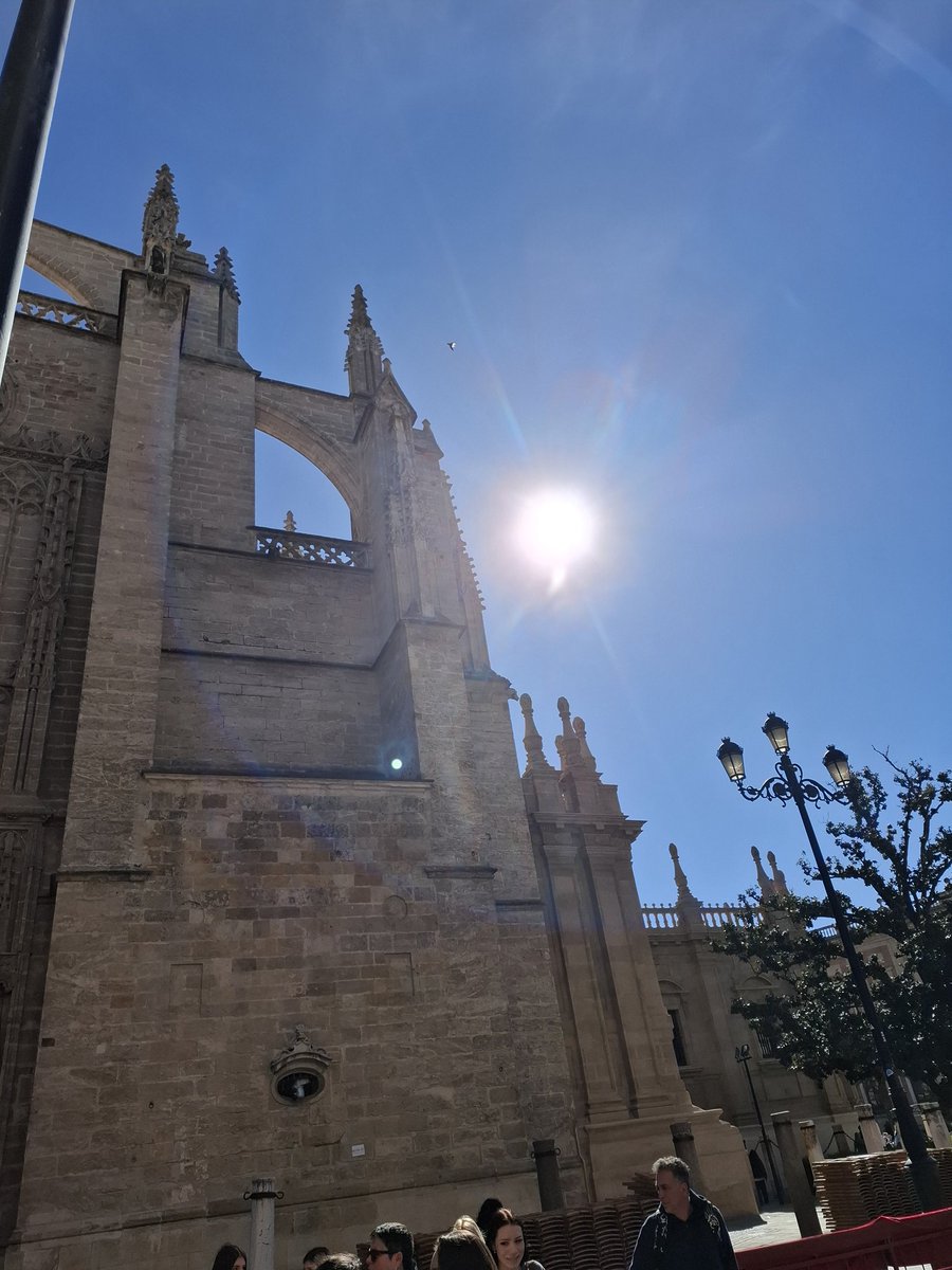 Axily, Fossile tweet media