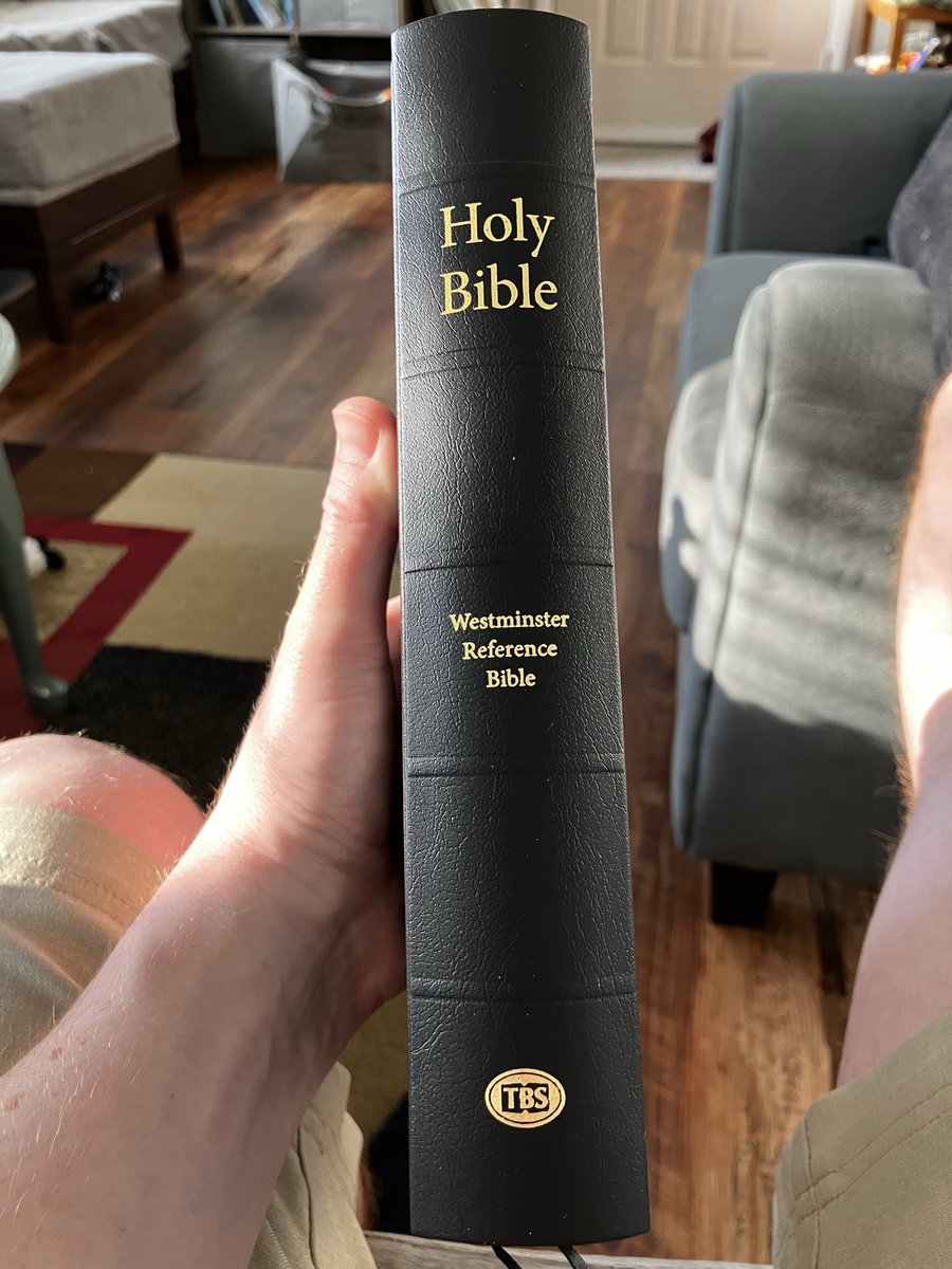 𝐌𝐢𝐜𝐡𝐚𝐞𝐥 𝐂𝐚𝐫𝐥𝐢𝐧𝐨 ⛪︎ 🌲 tweet media