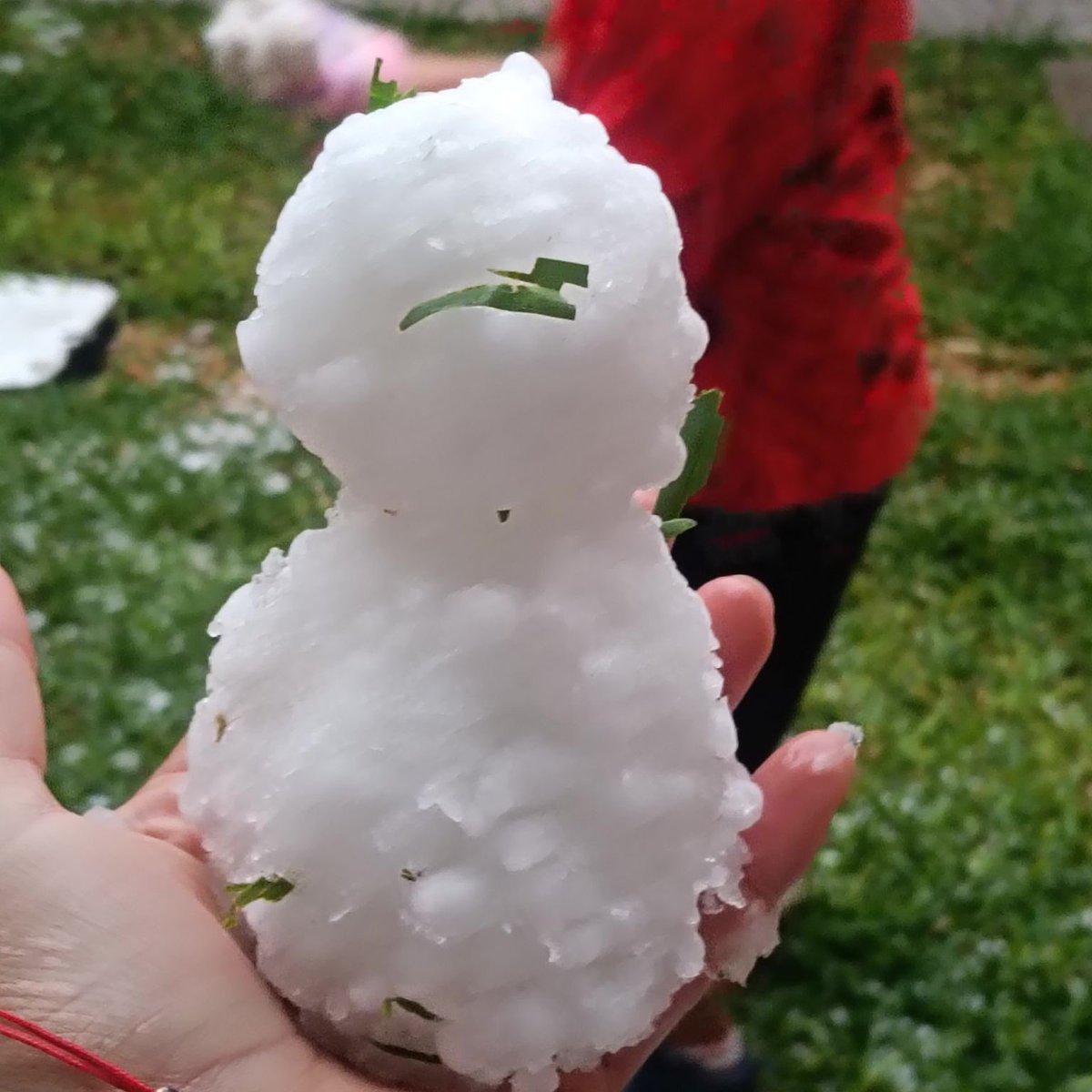 TráficoZMGuadalajara tweet media