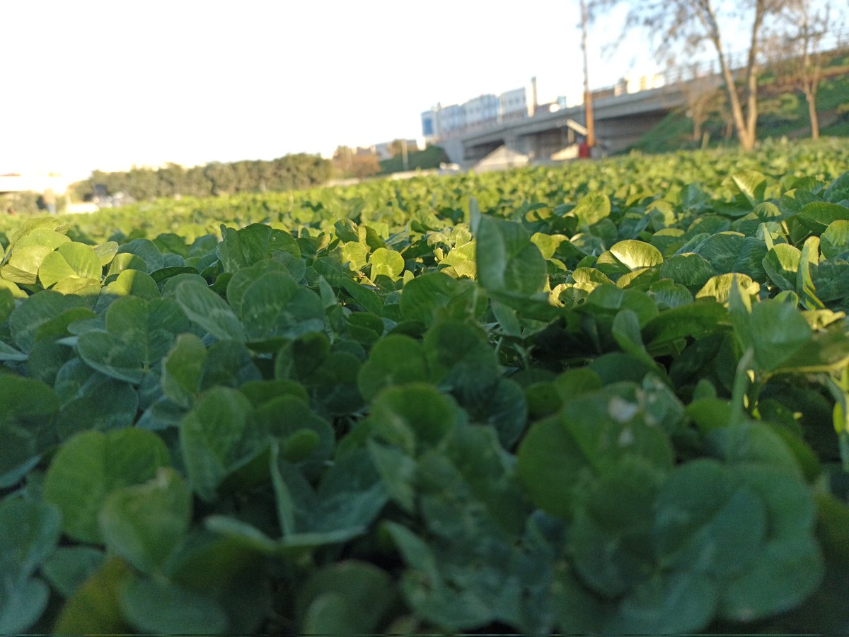 YAnjare's tweet photo. @_su6an 🌱☘️ https://t.co/ixRxBYcs7z