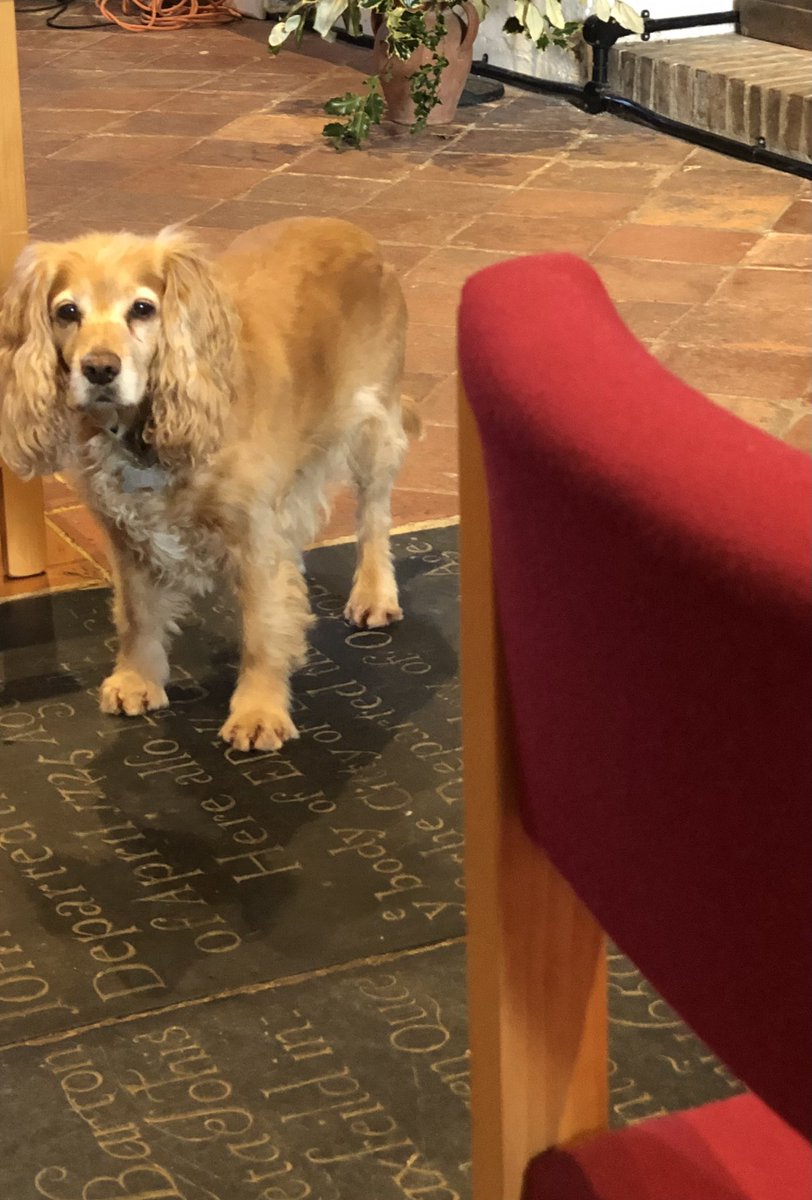 ManaboutLDN 👨🏻‍🦰 tweet media