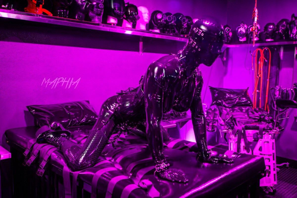 Teflon Dog 🔜 LVFC/FWA tweet media