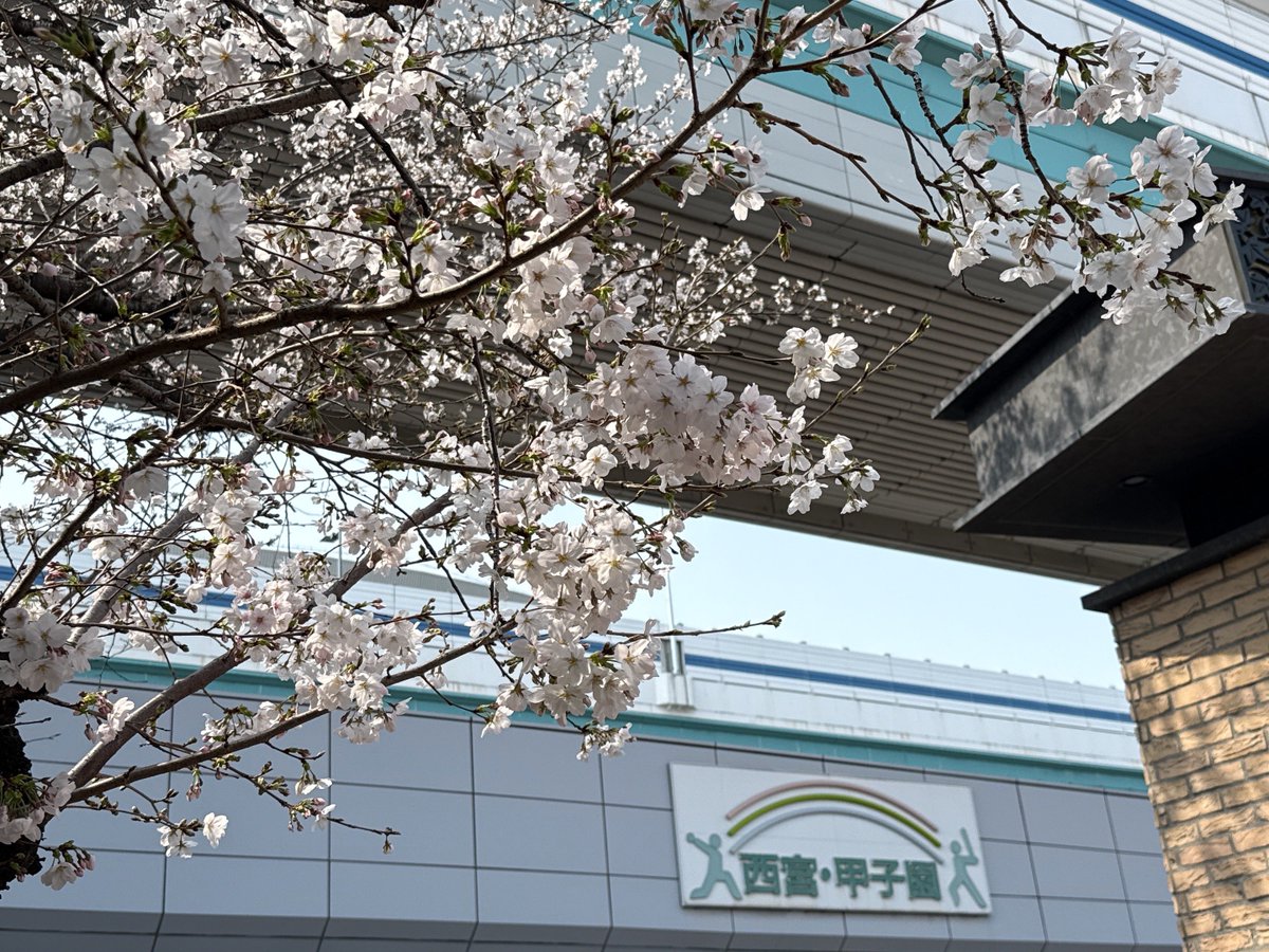 ミユキ tweet media