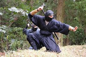 ぴろん🌸 tweet media