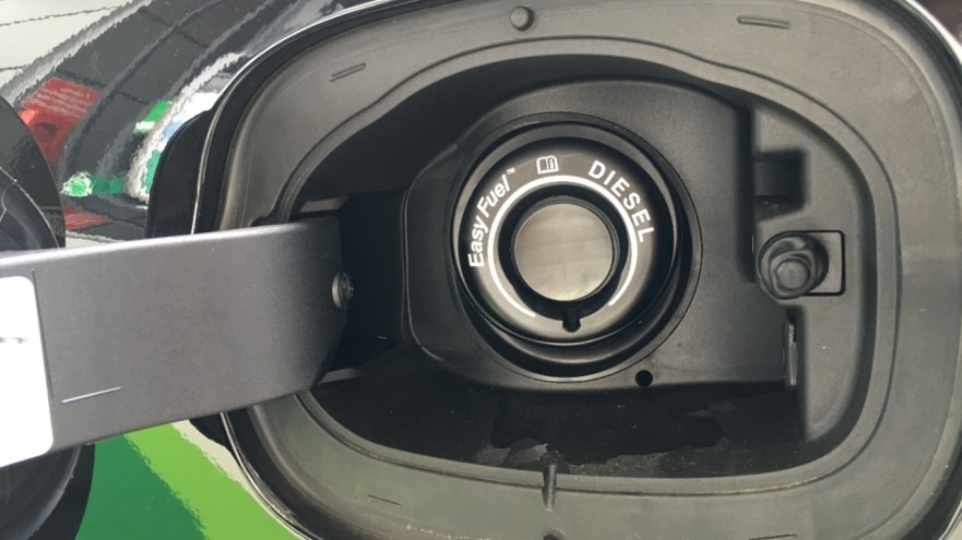 Lab Rat 🔴 tweet media