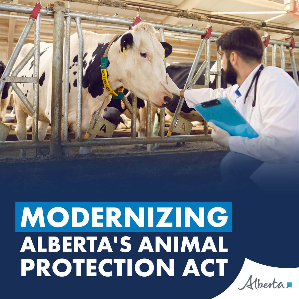 RJ Sigurdson tweet media