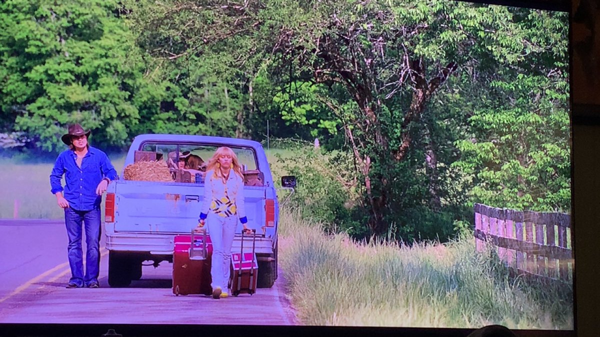 dani 🐾 tweet media