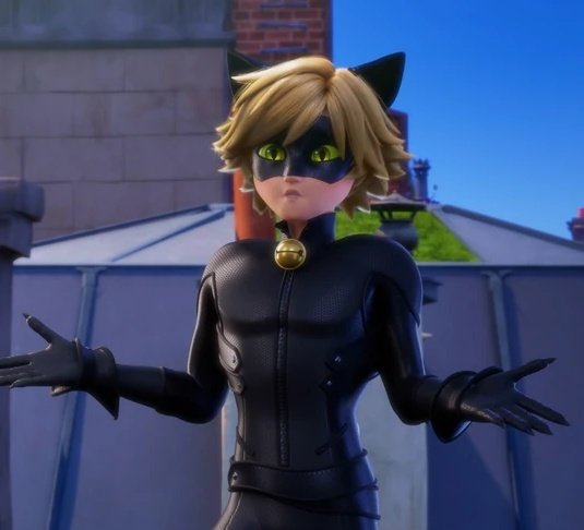 daily adrichat (@chatonpics) on Twitter photo 