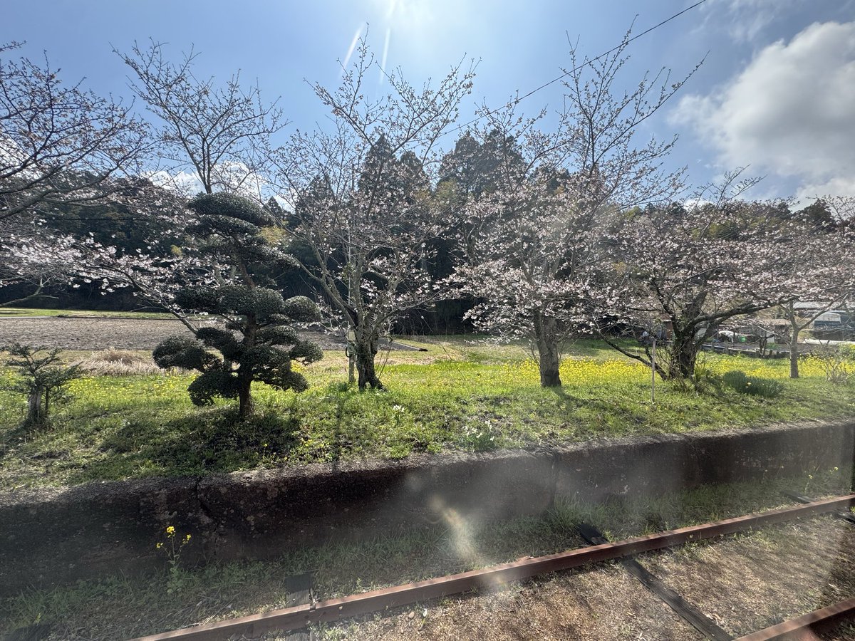 1100com1's tweet photo. 年度末。　多くのお客様にご利用いただけるようになり、安定的なサービスを提供する責任を感じております。
日々精進してまいりますので、今後ともよろしくお��いします。

(画像は業務とは全く関係ございません) https://t.co/RSN3ONfhSW