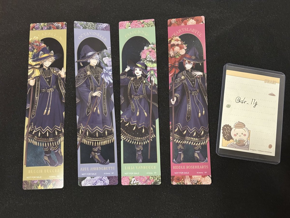 ねこ🐾 tweet media