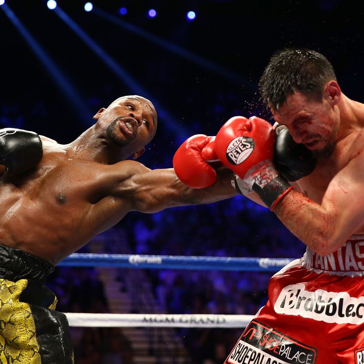 Gsoboxerfan tweet media