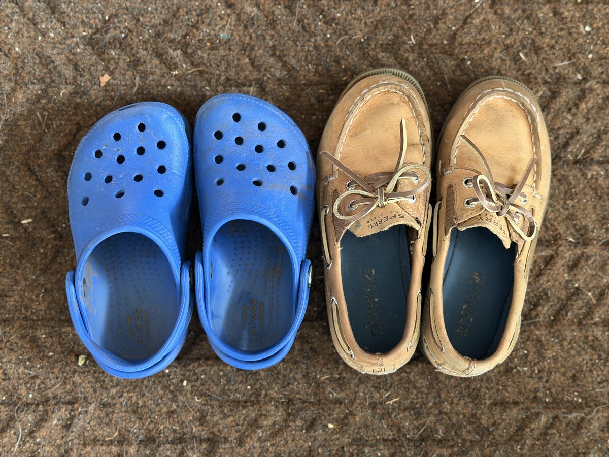 Greg Cello tweet media