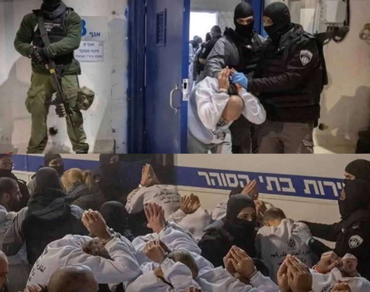 Is9at 🦂 tweet media