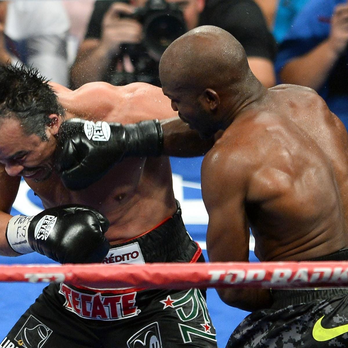 Gsoboxerfan tweet media