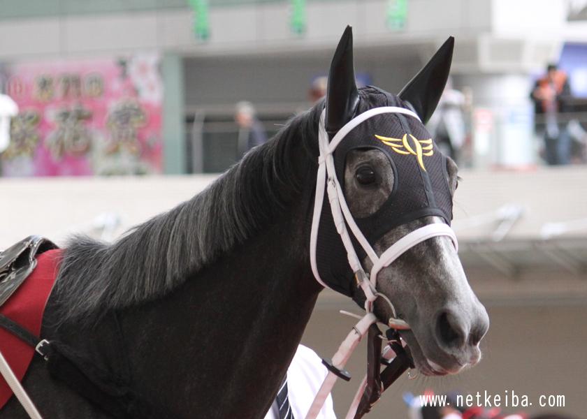 𝑹𝒊𝒏𝒊 • リニ 🐰🍪🐾 tweet media