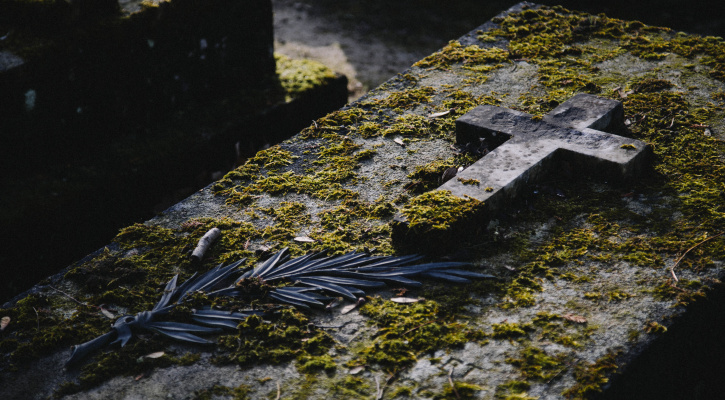 stanthonymag tweet media