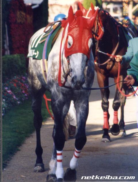 ホワイトストーン（1987年4月2日～1998年2月4日） tweet media