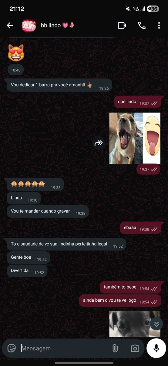 sinais de fogo tweet media