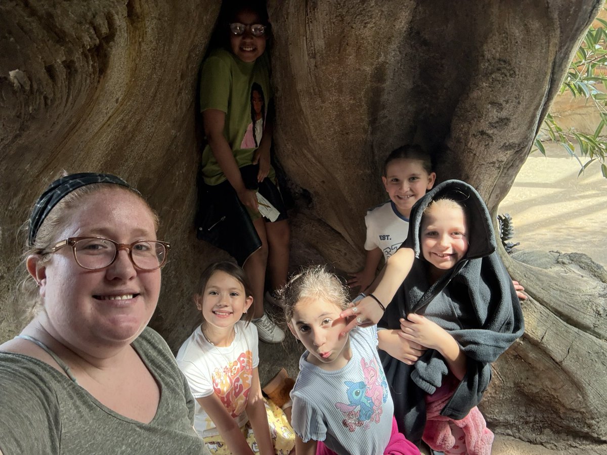 MrsSealsTweets tweet media