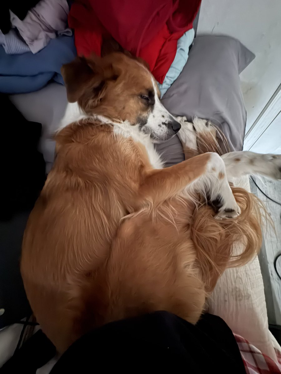 ♥︎paypay♥︎ || lesbyler enthusiast tweet media