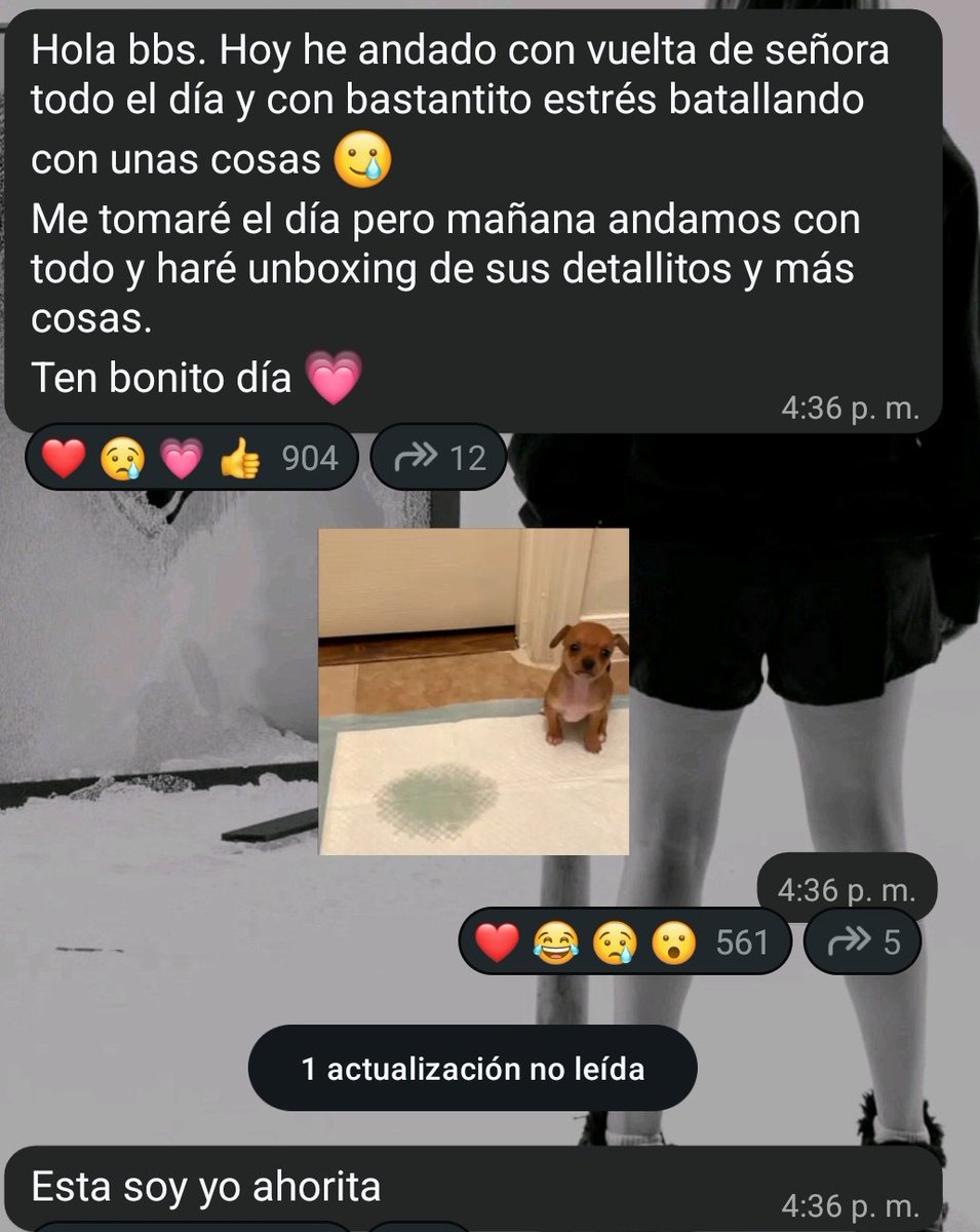 Info rivari tweet media