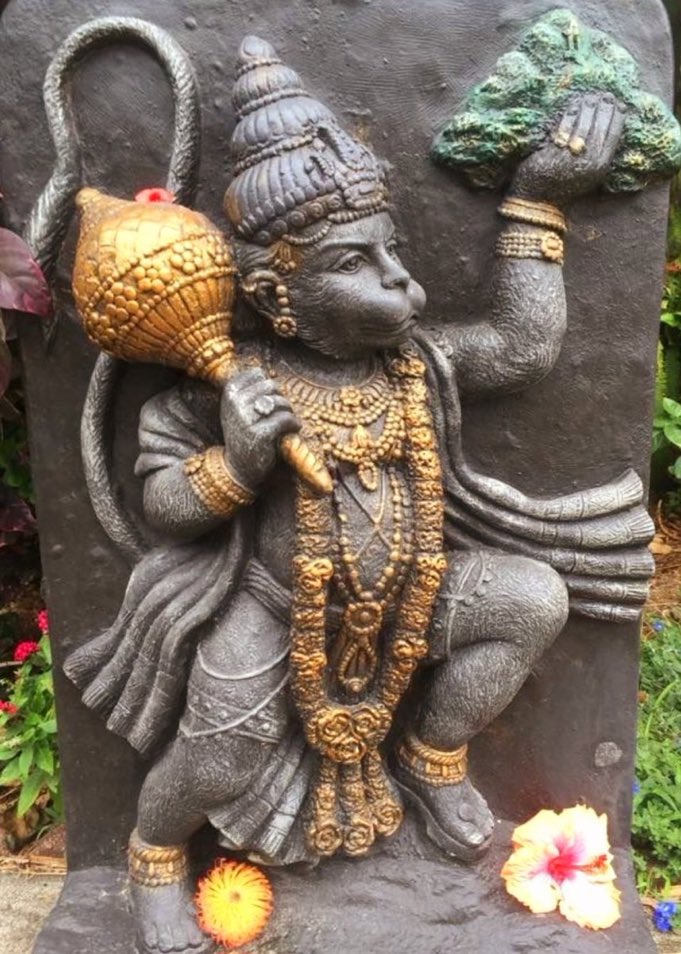 राजपूत सवित सिंह tweet media