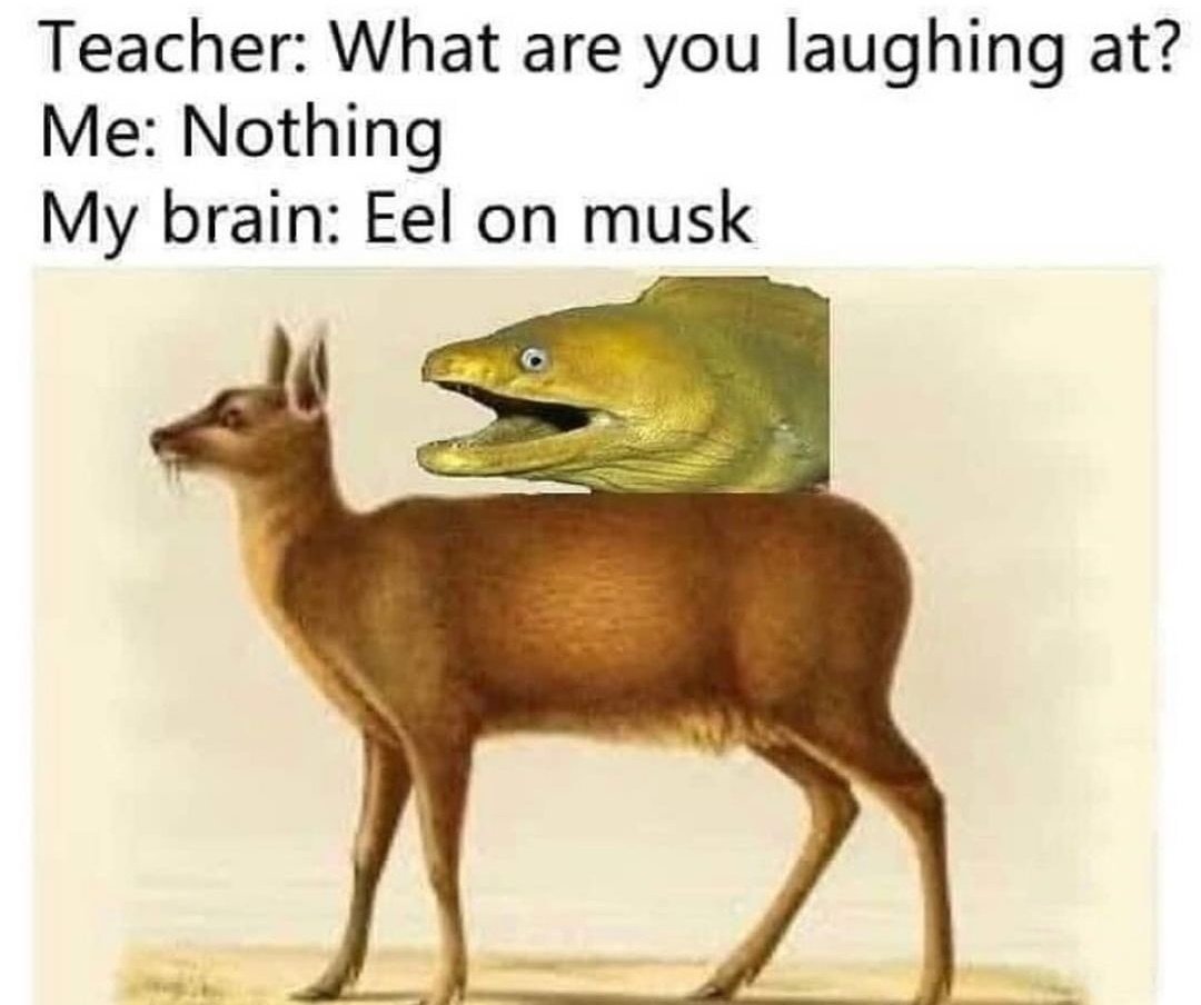 Alaric Vesperion tweet media