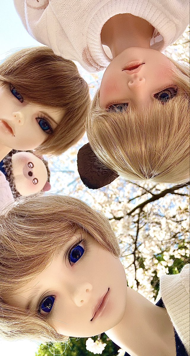 カヌレ tweet media