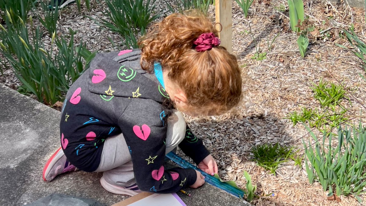 chappaqua_csd's tweet photo. ☀️ Ms. McCarthy’s 2nd graders took their measurement and data work into the Grafflin garden.

Students measured plants, flowers and other objects, recorded their findings and then created bar graphs and line plots to present their results.
#WeAreChappaqua @CoachSpillane https://t.co/w7t9YVwW4a