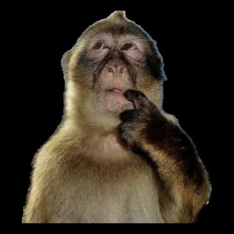 Terrence tweet media