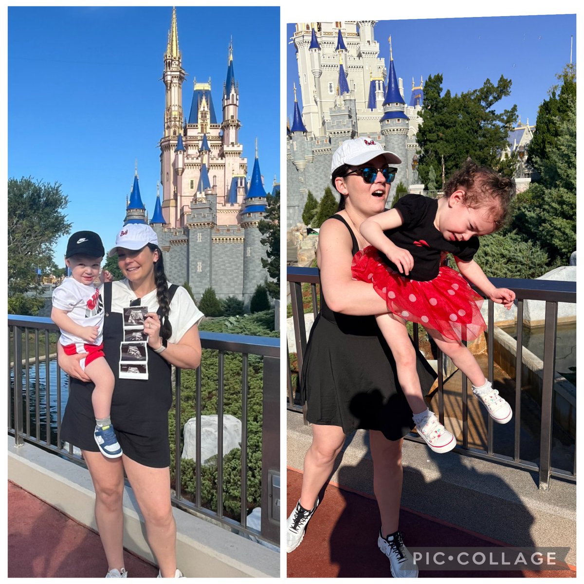 Robert Healy tweet media