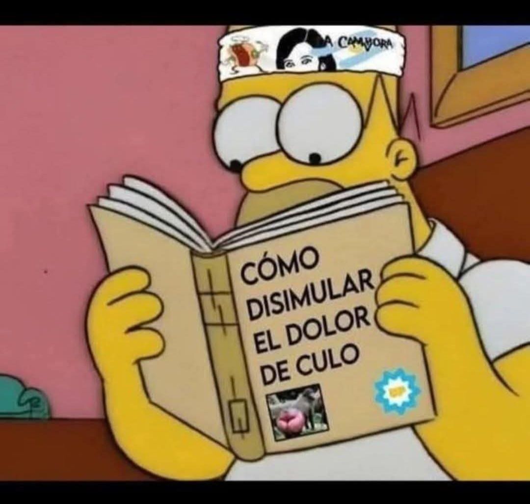 💮🫧Alan traddy🫧💮 tweet media