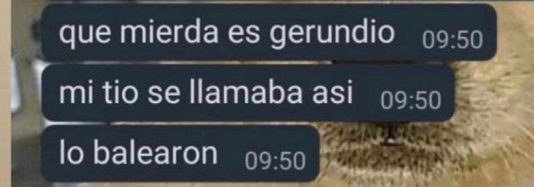 Ariel Rodríguez tweet media