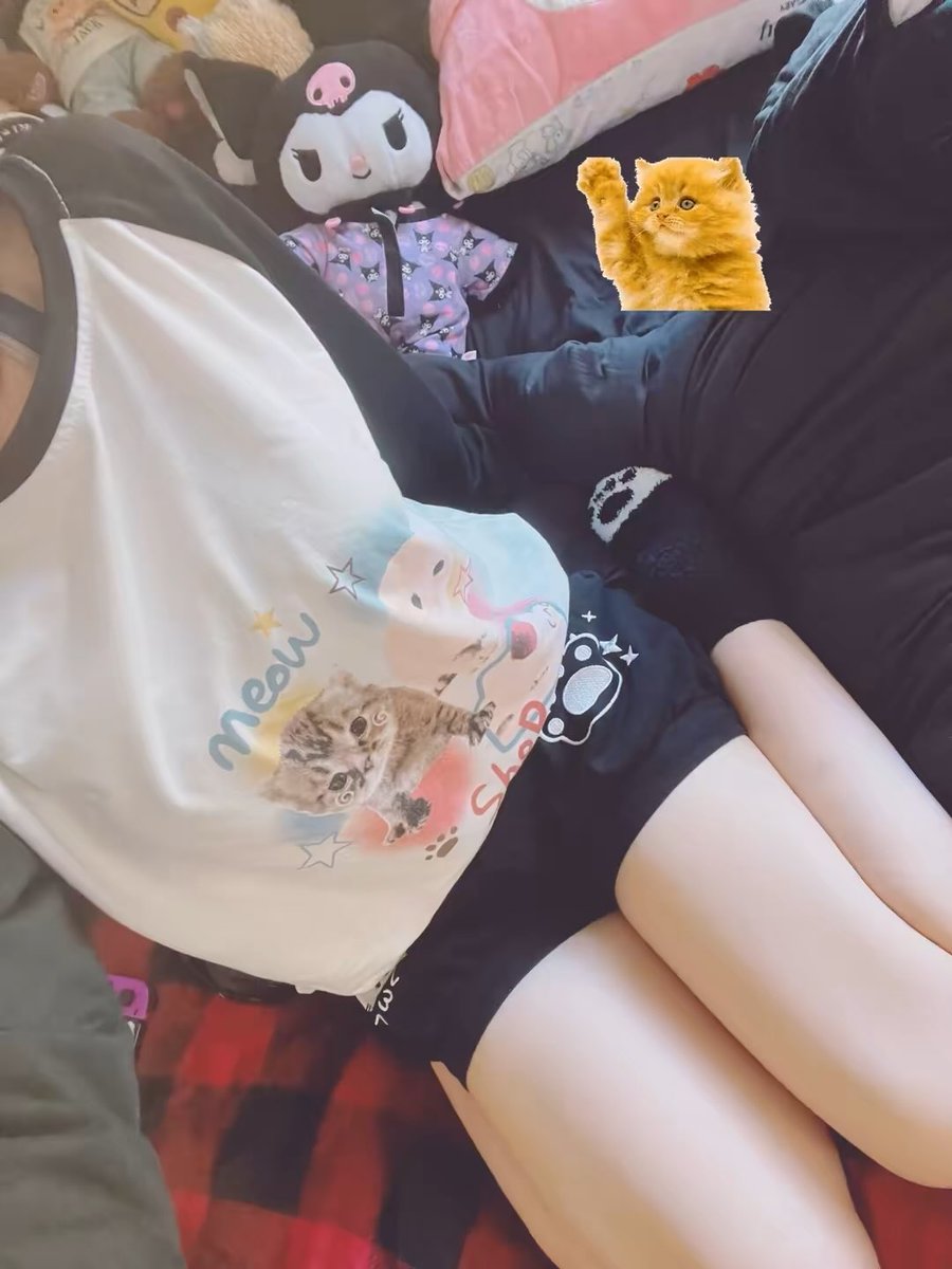 Aster꜀(^｡ ̫｡^꜀ )꜆੭👻🎀 tweet media