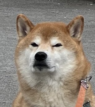 SCRATCH COFFEE 四つ木 tweet media