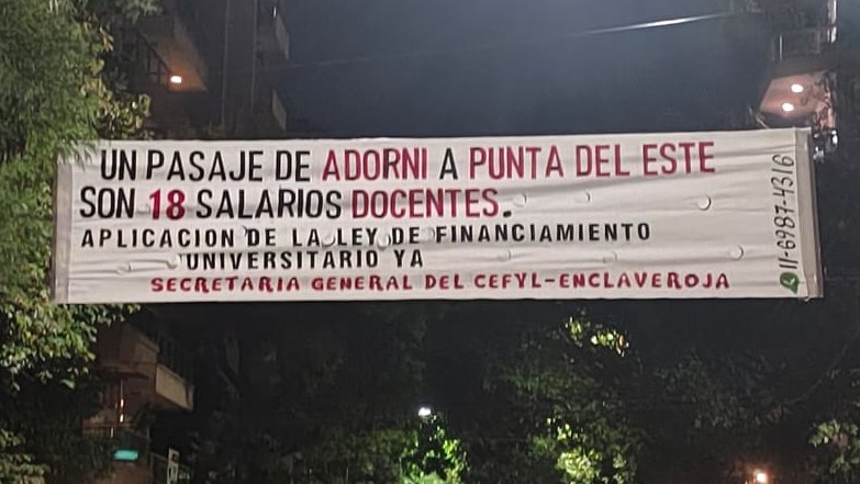 Luca Bonfante tweet media