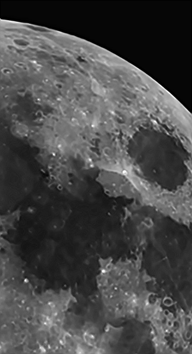 Anjuschka Prenzel tweet media