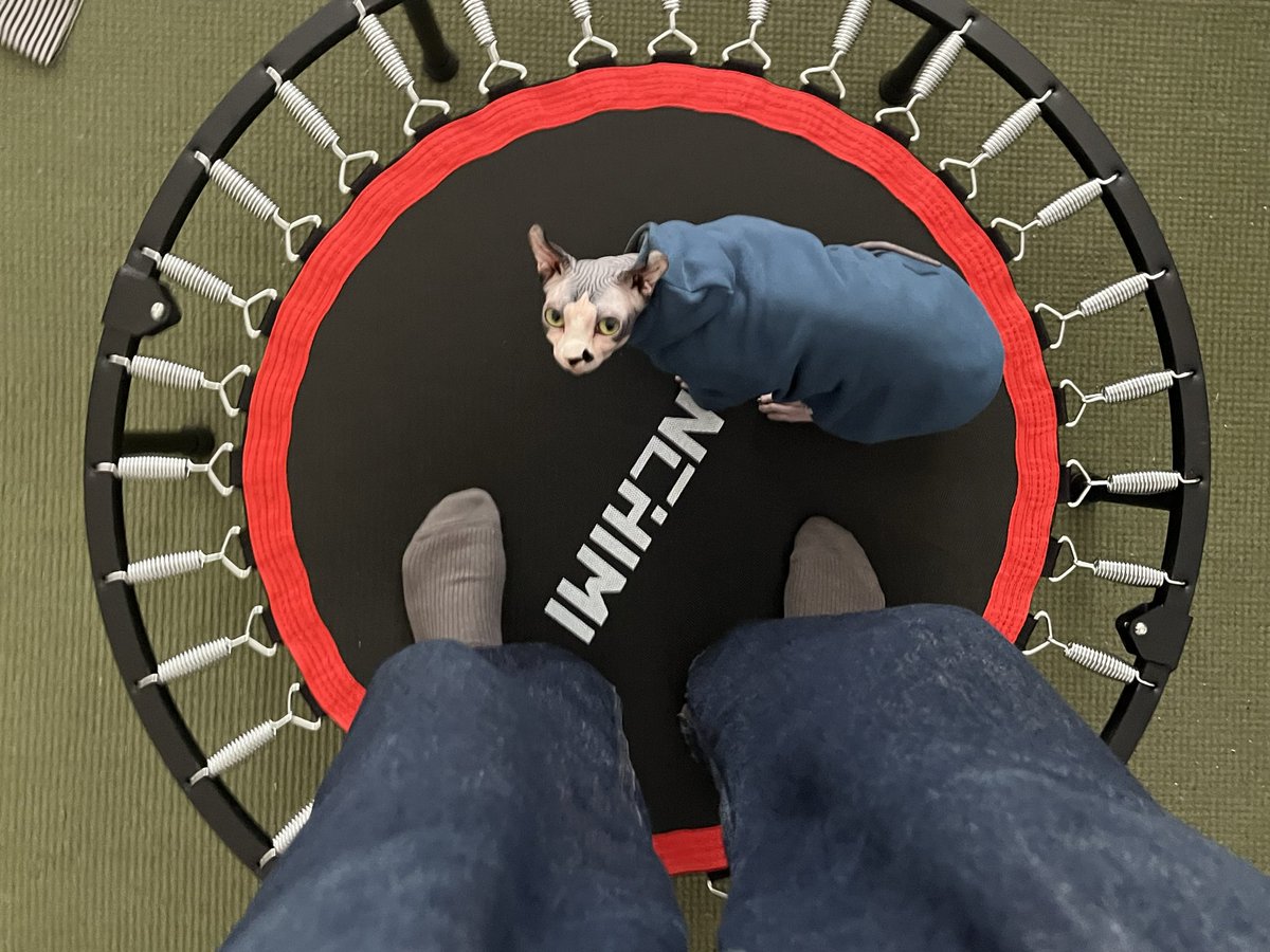 Lee Foxcliff tweet media