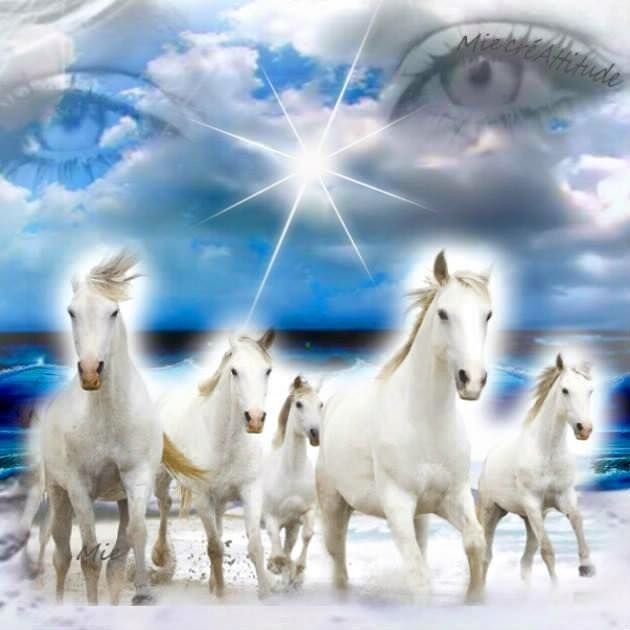 marcelo d2 geladeira tsunami dadaísta tweet media