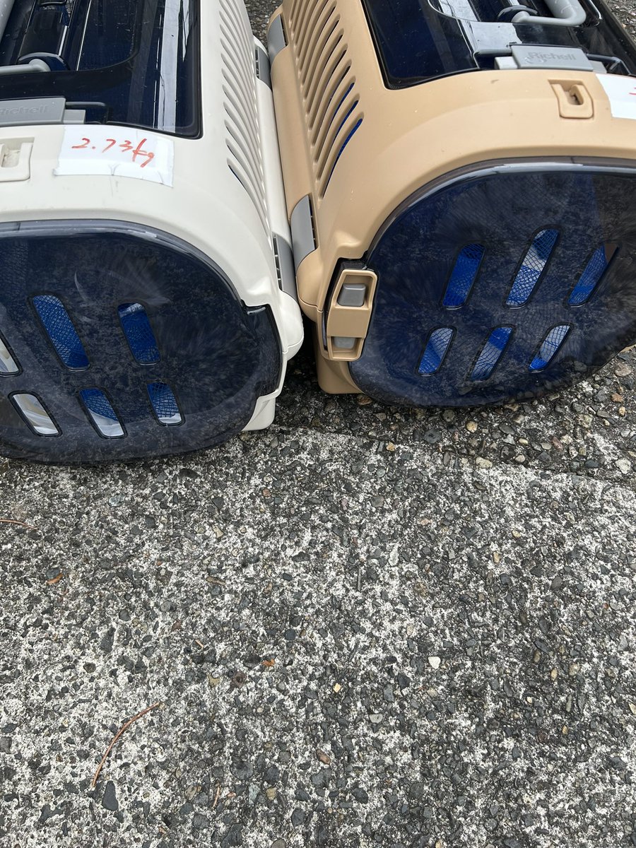 動物専用 tweet media