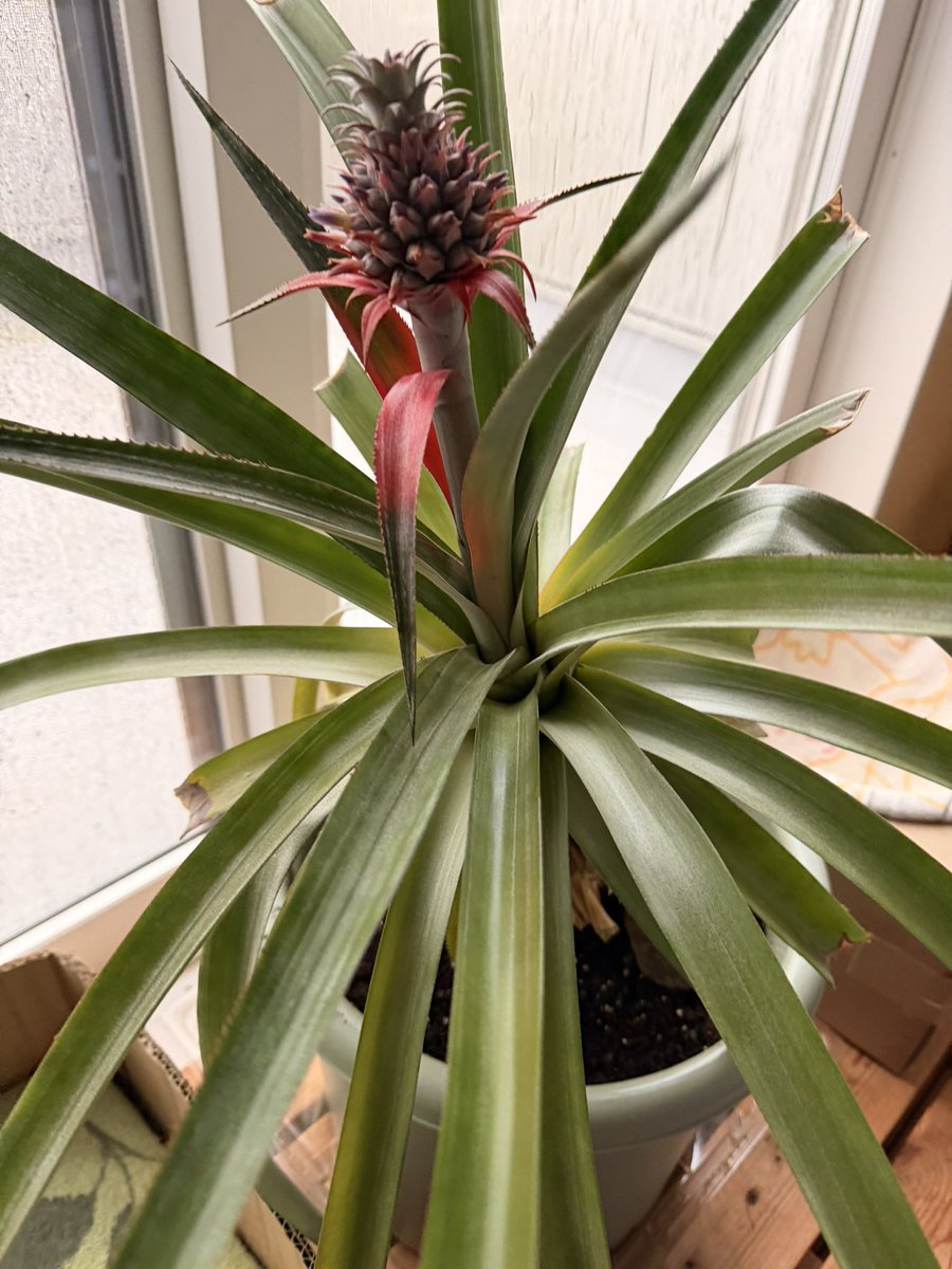 るか@CBX1300HB tweet media