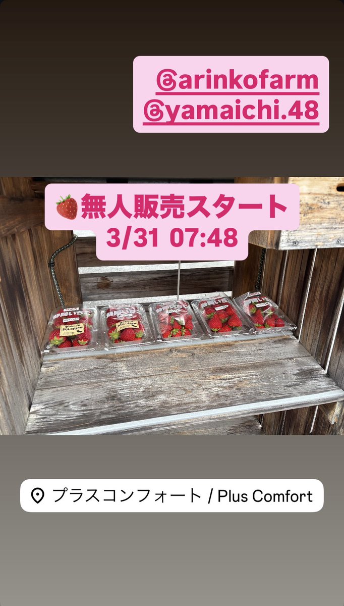 ありんこファーム
いちご🍓無人販売スタート
3/31  07:48