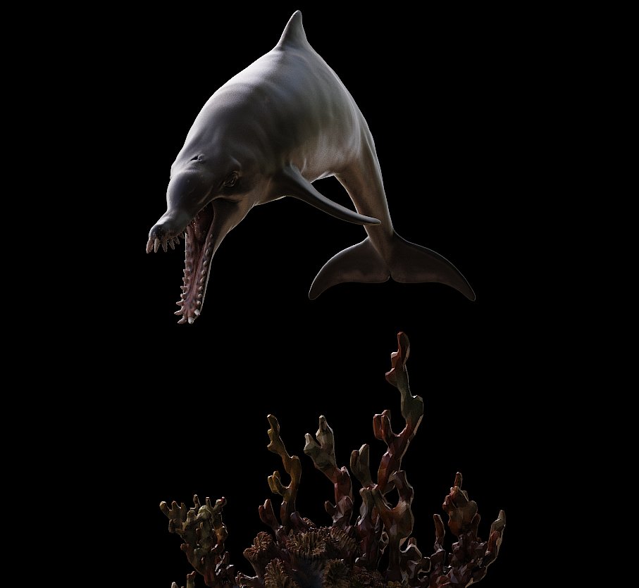 Nicolas Fechin tweet media