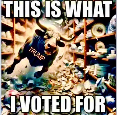 Connie 🇺🇲 tweet media