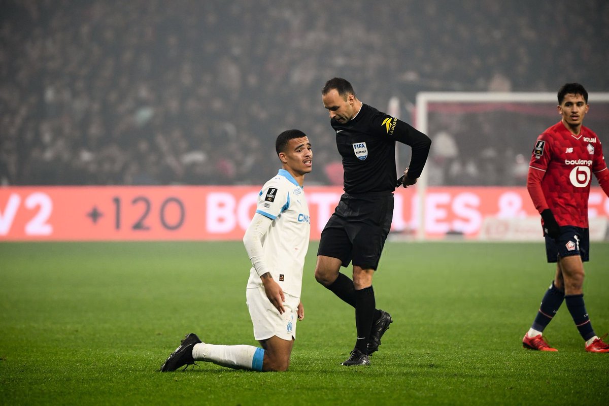 TB 🇧🇷 tweet media